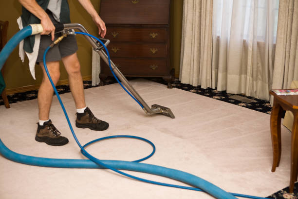 Steam Cleaning the Living Room