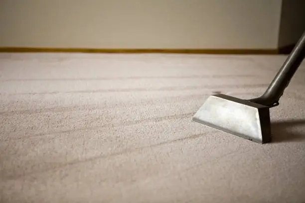 Photo of Shag Rug with Carpet Cleaning Equipment