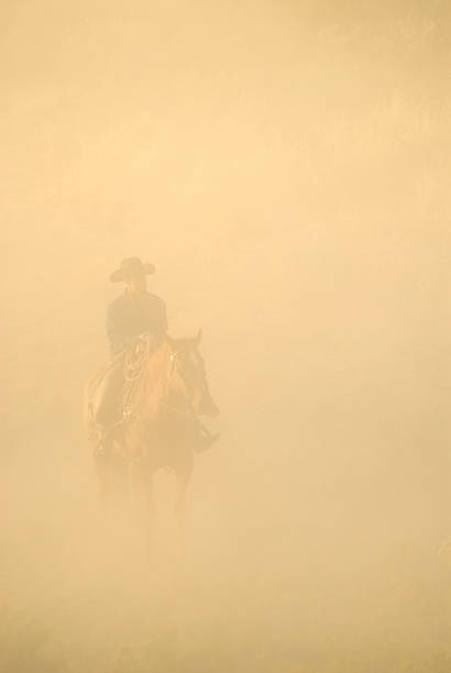 istock A man in a cowboy hat riding his horse in a blurry setting 157377429