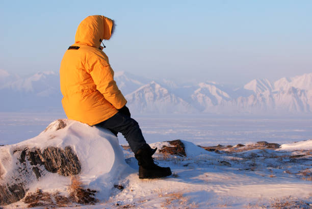 ziemia baffina. - baffin island zdjęcia i obrazy z banku zdjęć