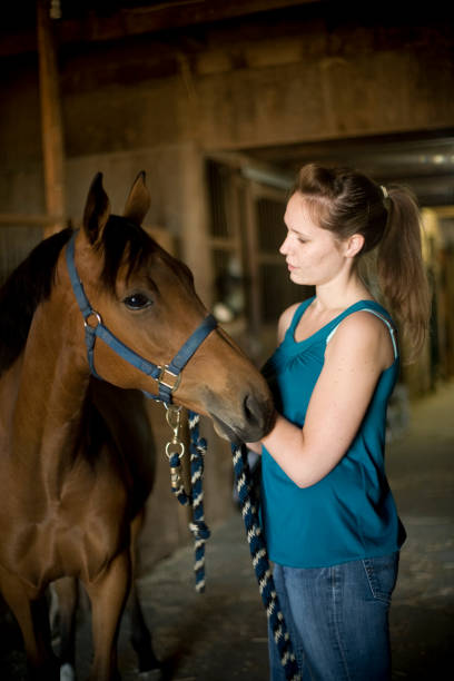 istock Young woman with horse in barn 157377534