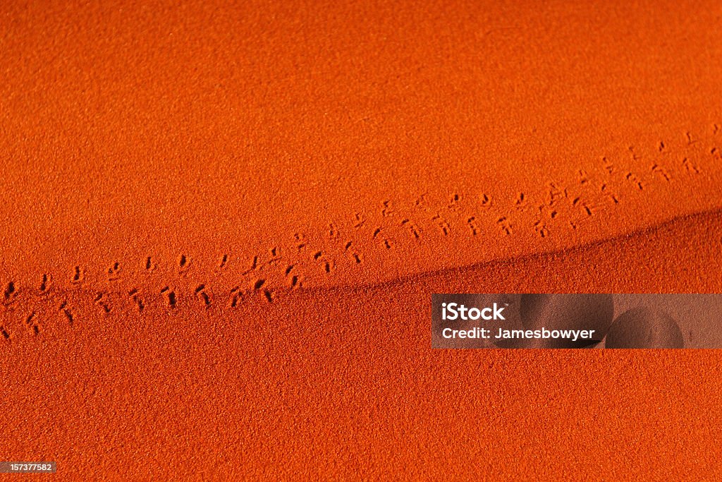 Footprints in Desert Sands  Australia Stock Photo