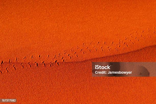 Footprints In Desert Sands Stock Photo - Download Image Now - Australia, Desert Area, Outback