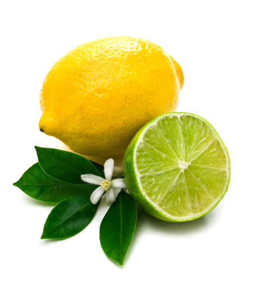 istock Lemon, lime and green leaves against white background 157377790