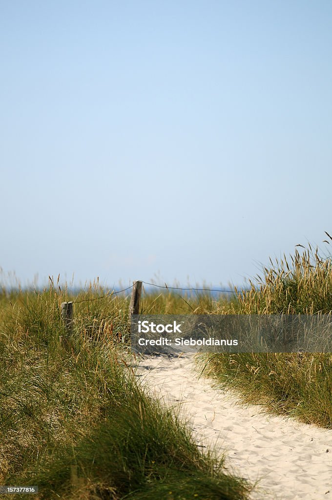 Path to the Sea through dunes. Beach Stock Photo