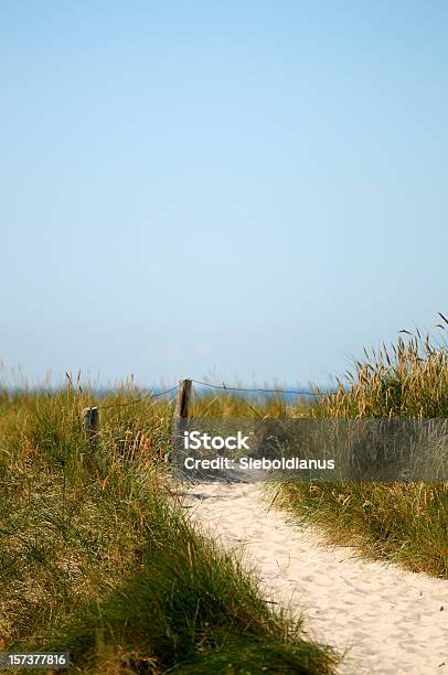 Path To The Sea Through Dunes Stock Photo - Download Image Now - Beach, Sand Dune, Baltic Sea