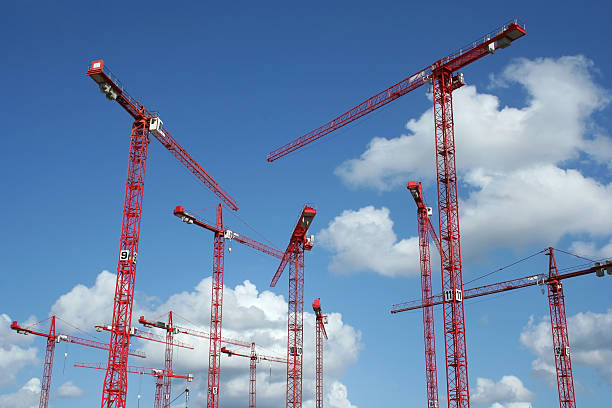 Forest from construction cranes, Hamburg  (Speicherstadt) stock photo