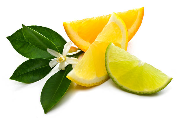 Three slices of lemons and lime Orange, lemon. lime and leaves on a white background. Citrus Fruit stock pictures, royalty-free photos & images