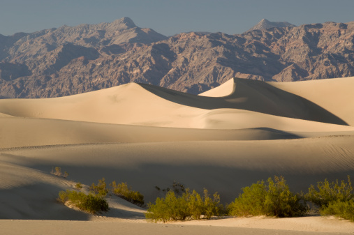 Sand dunes, mesquite trees, and mountains, Death Valley National Park. 