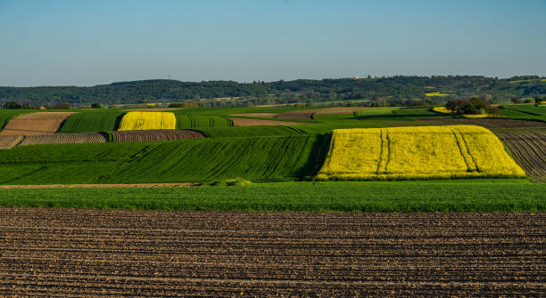 istock Spring view of an urbanized farming region 1573779511