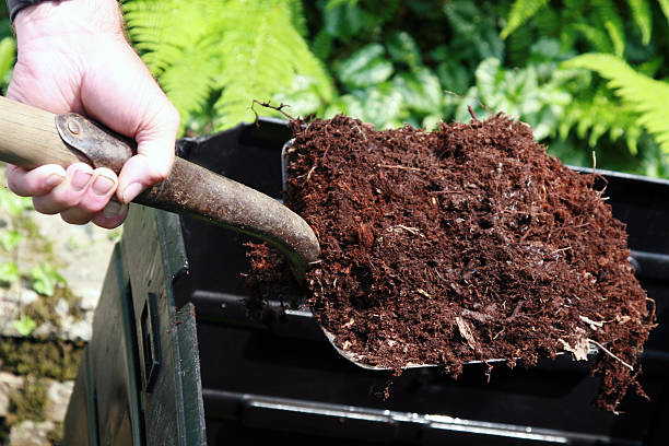 pala de mano agarrando completo de abono, hogar de compostaje - humus soil fotografías e imágenes de stock
