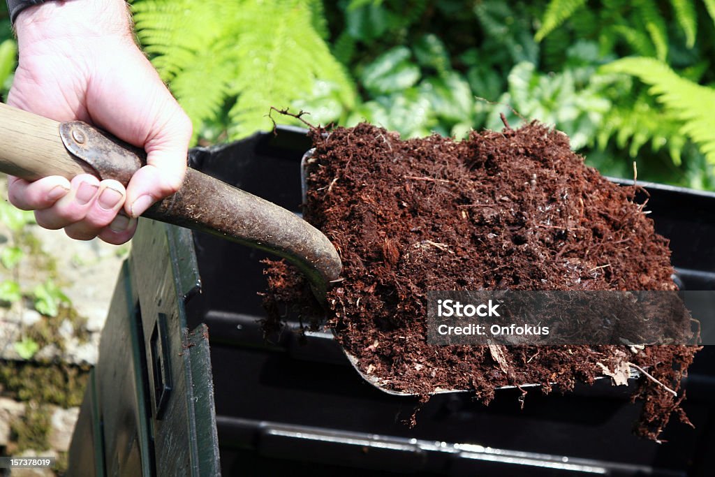 Mão a segurar a pá de adubo, casa compostagem - Royalty-free Adubo - Equipamento Agrícola Foto de stock