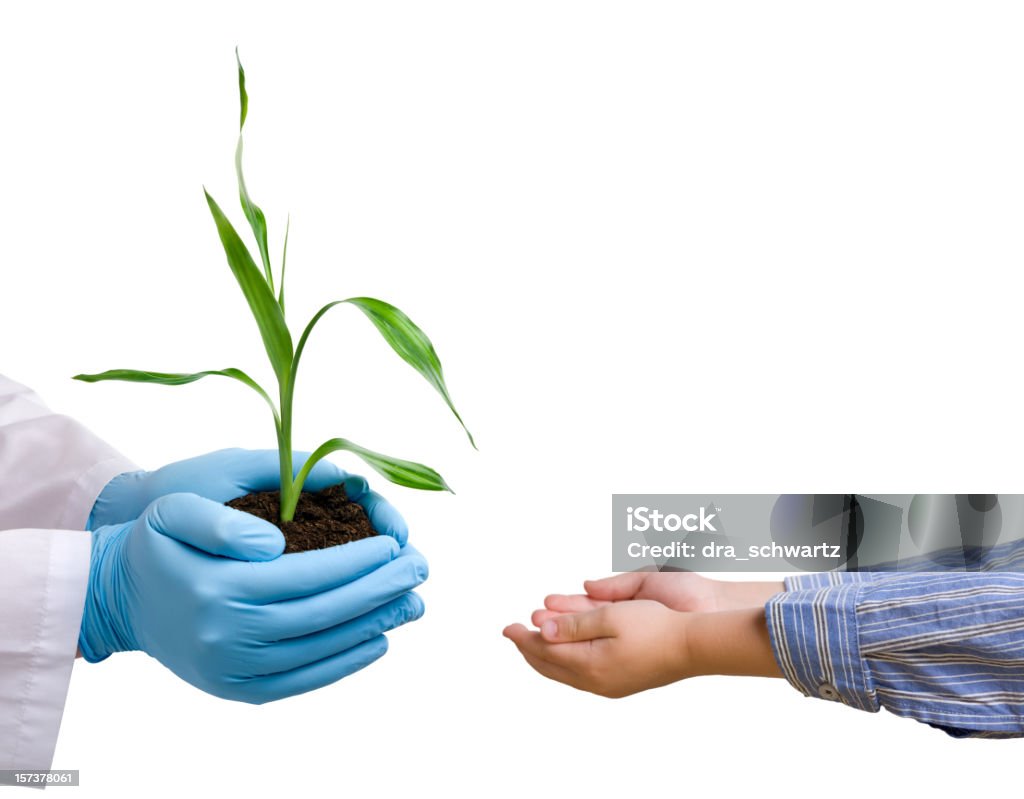 Wissenschaftler gibt eine Anlage für Kinder - Lizenzfrei Erdreich Stock-Foto