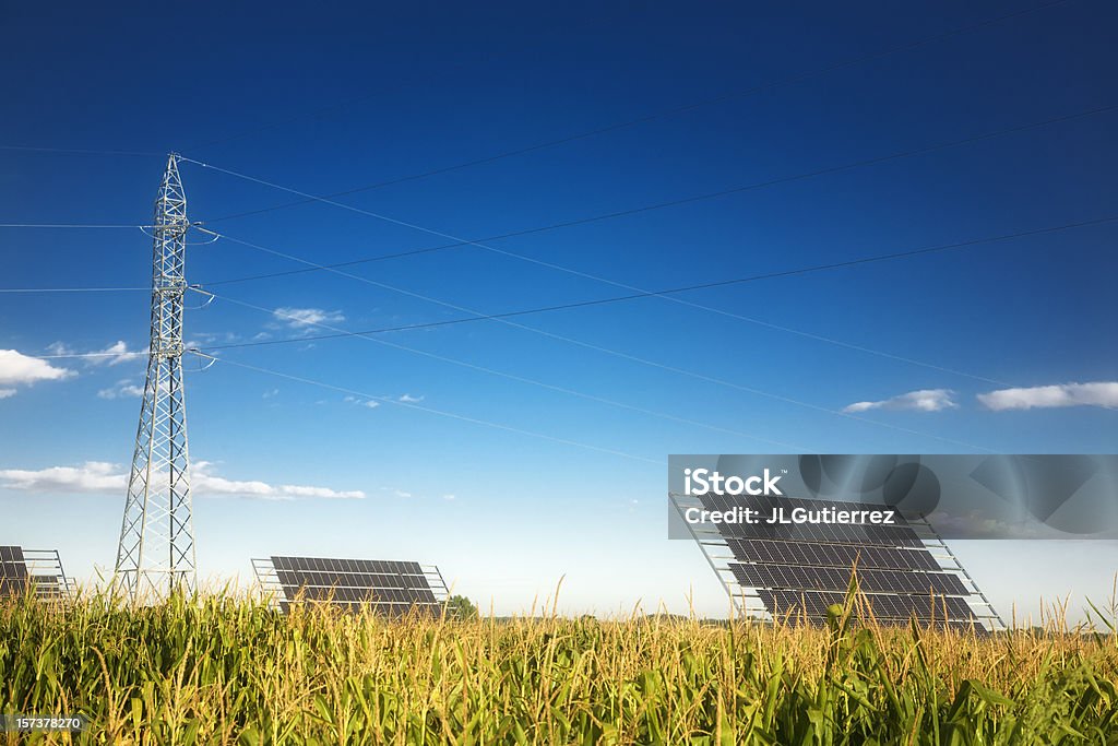 Energía Natural - Foto de stock de Campo - Tierra cultivada libre de derechos