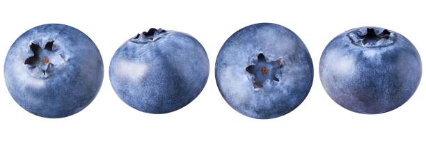 istock Blueberry isolated on white background. Collection 1573783661