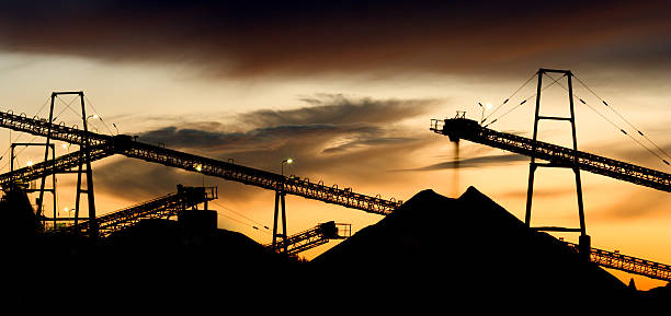 istock Gravel Plant Landscape 157378438