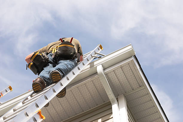 home repairs handyman up a ladder outdoors - çatı oluğu stok fotoğraflar ve resimler