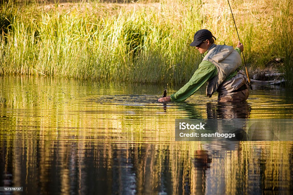 Pesca a mosca trote in autunno in Colorado con riflessione - Foto stock royalty-free di Afferrare