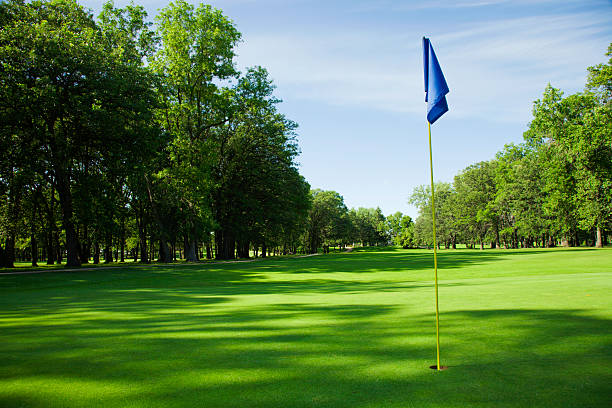 3D render of a golf ball and goal flag sitting on a circular chunk of grass covered putting green.