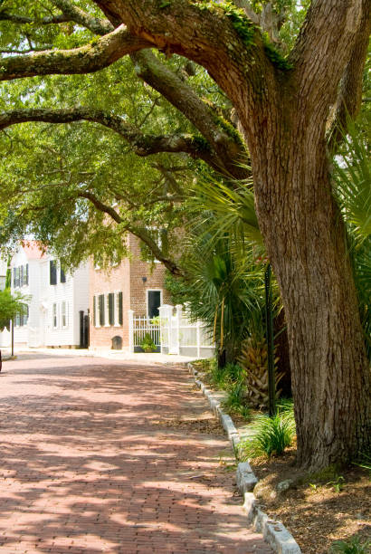 istock Brick Street In Charleston 157378796