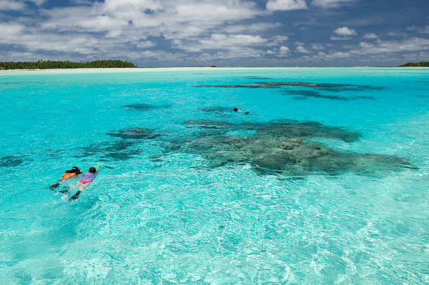 mergulho livre no pacífico sul - south pacific ocean island polynesia tropical climate imagens e fotografias de stock