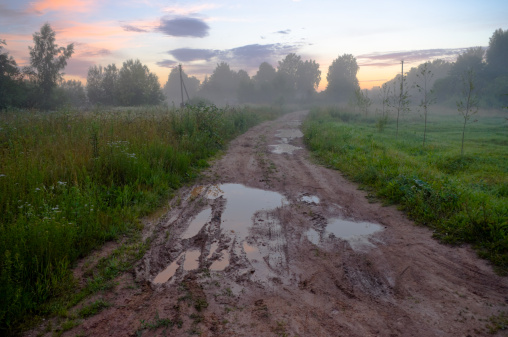 A view of the small puddles on a dirt road in the field