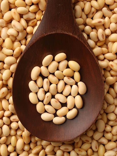 浸した大豆 - soybean bean drenched textured ストックフォトと画像