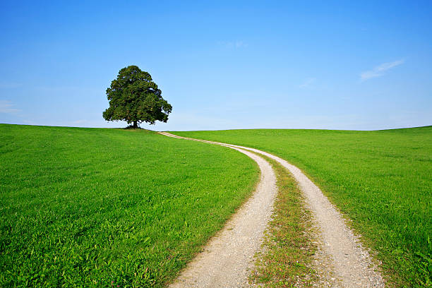 paisagem rural - winding road sunlight field cultivated land imagens e fotografias de stock