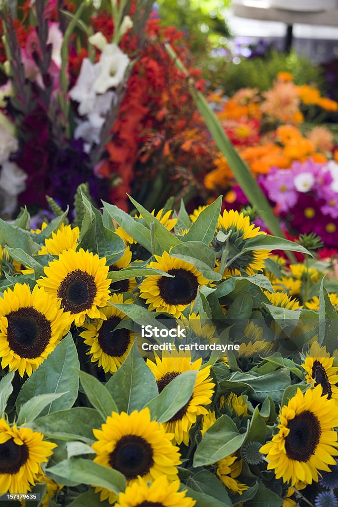 Ao ar livre com flores frescas no mercado de agricultores street - Foto de stock de Amarelo royalty-free