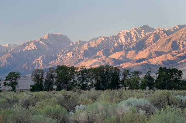istock Eastern Sierras and Mt. Whitney 157380042