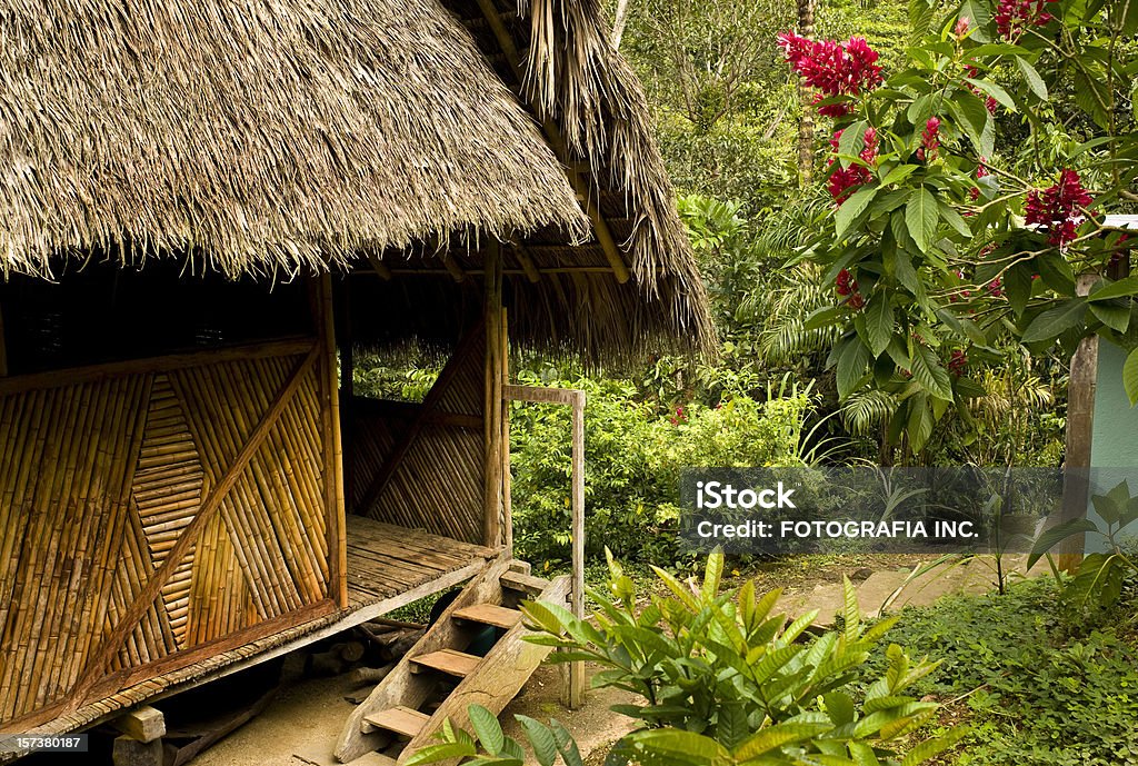 정글 오두막 - 로열티 프리 대나무-벼과 스톡 사진