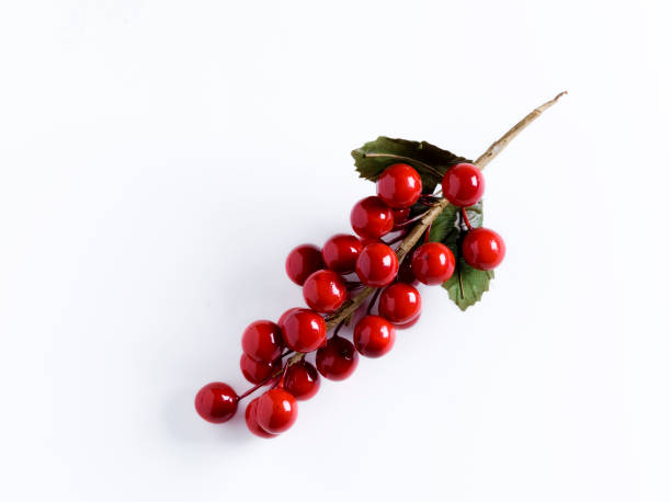 페이크 호랑가시나무 흰색 - winterberry holly 뉴스 사진 이미지