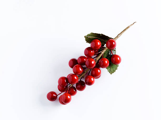 искусственный holly на белом - winterberry holly стоковые фото и изображения