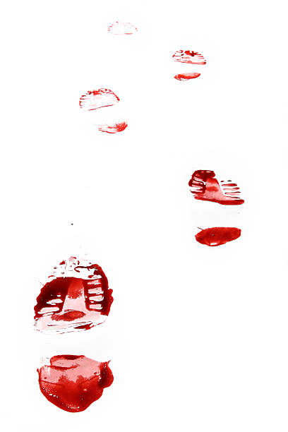 Red Shoe Print on White Background Red Shoe Print- walking away shoe print stock pictures, royalty-free photos & images