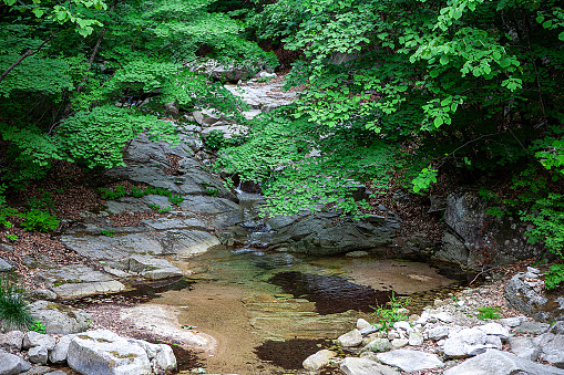 creek with clear water