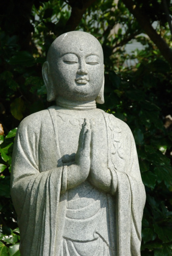 buddha statue in front of flowers. it symbolizes wellness and calm. the flower background gives it a moody touch.