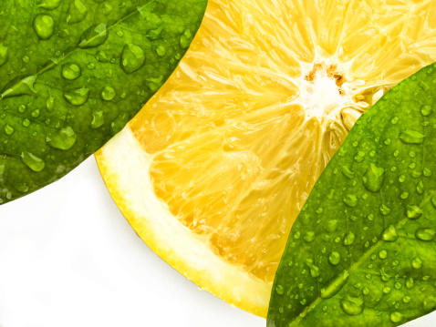 Lemon slice, green leaves and water drops
