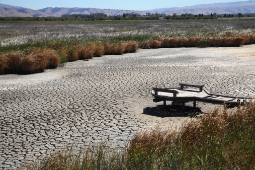 Drought conditions lead to dried up marsh or riverbed