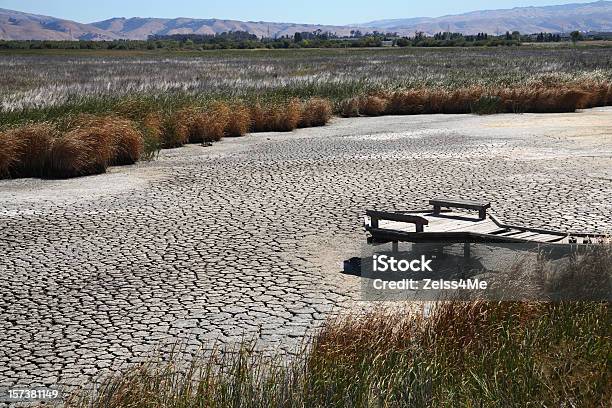 Seca Condições Conduzir A Seco Marsh Ou Leito De Rio - Fotografias de stock e mais imagens de Seca