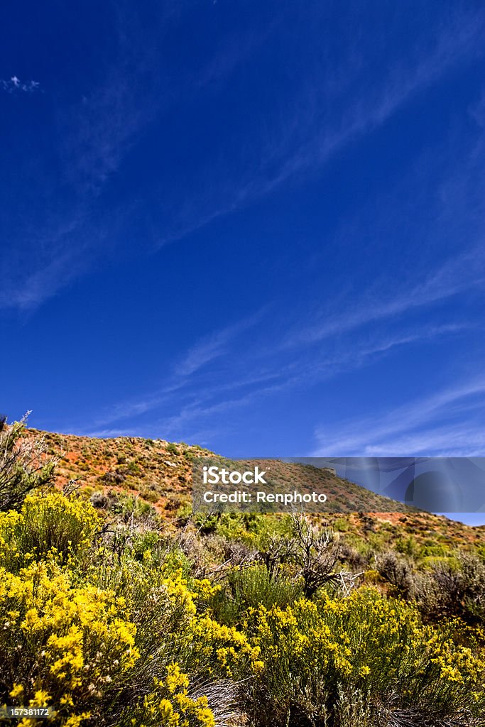 Utah Wüstenlandschaft - Lizenzfrei Ausgedörrt Stock-Foto
