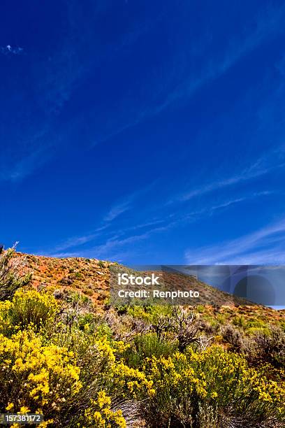 Utah Wüstenlandschaft Stockfoto und mehr Bilder von Ausgedörrt - Ausgedörrt, Blau, Bunt - Farbton