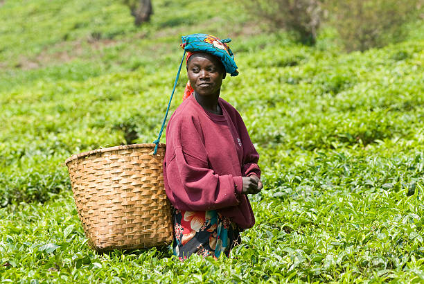 An unidentified young village girl in Buikwe region, Uganda, Africa. People in rural areas of Uganda depend on farming.