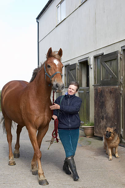 istock Rider leading horse past stables 157381261