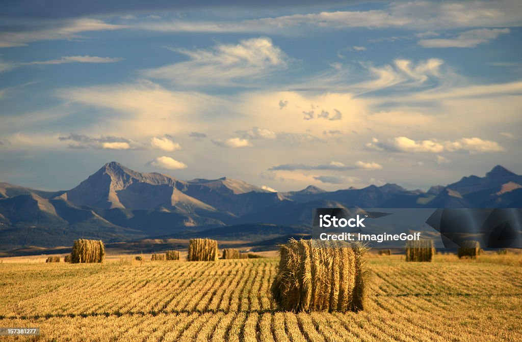 Landschaft mit Landwirtschaft und'Harvest" - Lizenzfrei Provinz Alberta Stock-Foto