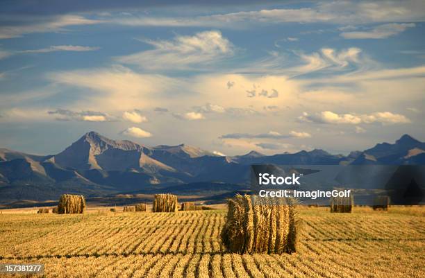 Landschaft Mit Landwirtschaft Undharvest Stockfoto und mehr Bilder von Provinz Alberta - Provinz Alberta, Kanada, Landschaft