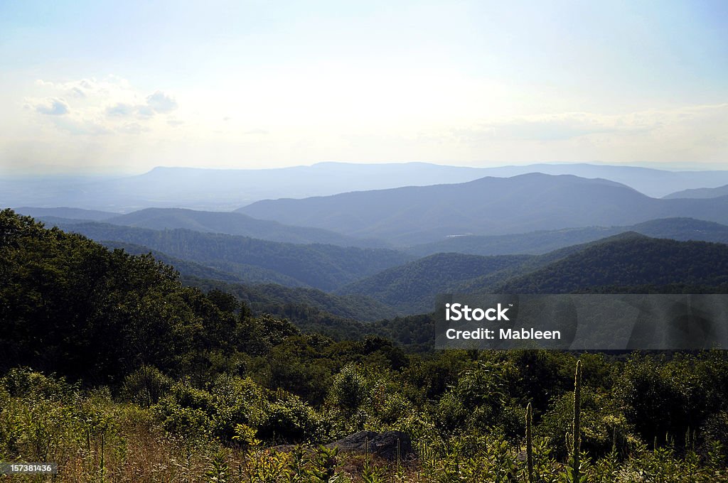 Montañas Blue Ridge, en verano - Foto de stock de Montañas Blue Ridge libre de derechos