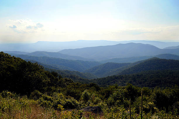 горы блю ридж летом - blue ridge mountains appalachian mountains appalachian trail skyline drive стоковые фото и изображения