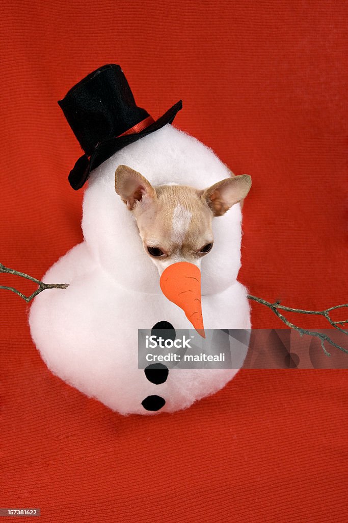 Hombre de nieve - Foto de stock de Actividad libre de derechos