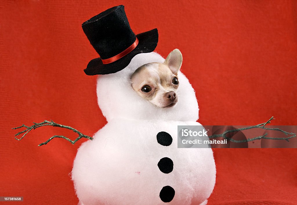 Hombre de nieve - Foto de stock de Humor libre de derechos