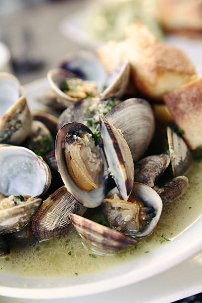 istock Clams at bistro bar 157381689
